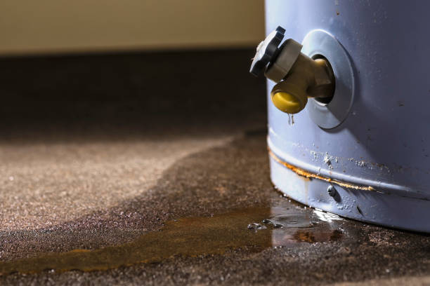 Best Flood restoration services  in Springfield, CO