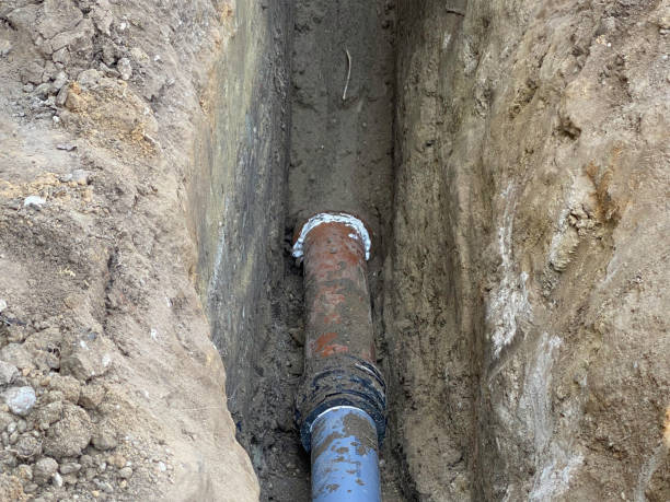 Best Sewage cleanup and water damage restoration  in Springfield, CO