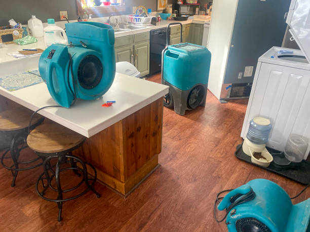 Best Basement water damage restoration  in Springfield, CO