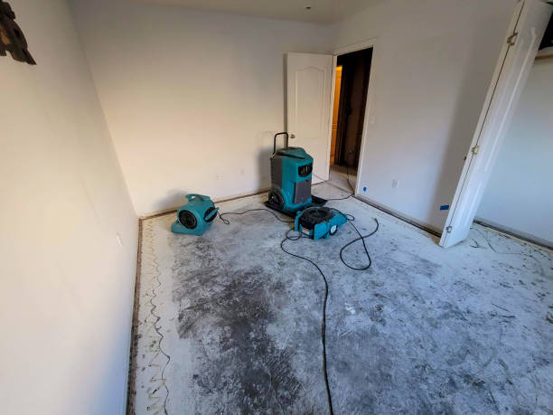 Best Basement water damage restoration  in Springfield, CO