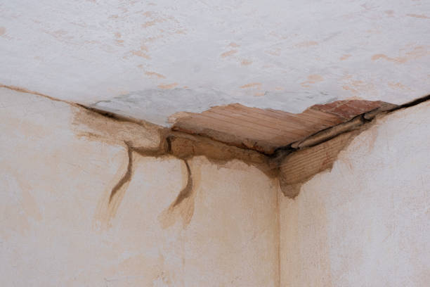  Springfield, CO Water damage restoration Pros