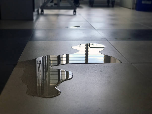 Best Water damage restoration company  in Springfield, CO