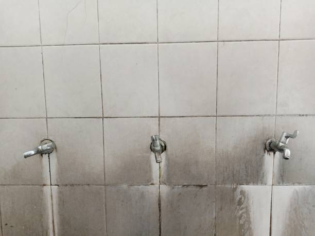 Best Commercial water damage restoration  in Springfield, CO