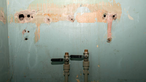 Best Residential water damage restoration  in Springfield, CO