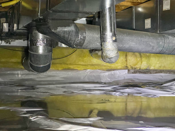 Best Carpet water damage restoration  in Springfield, CO