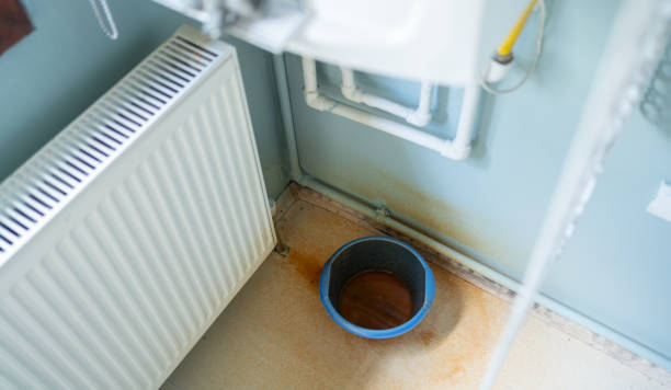 Best Mold removal after water damage  in Springfield, CO