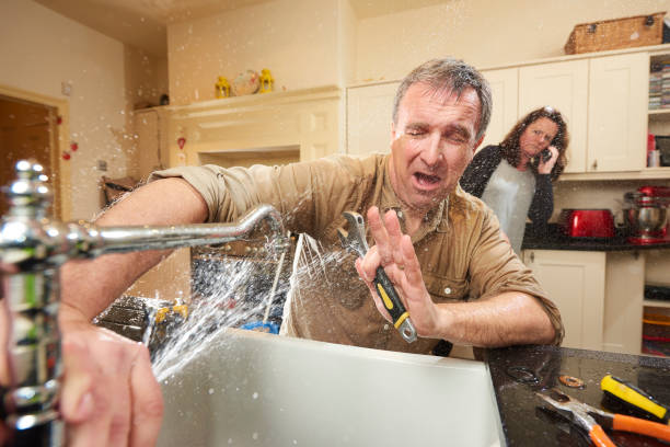 Best Professional water damage repair  in Springfield, CO